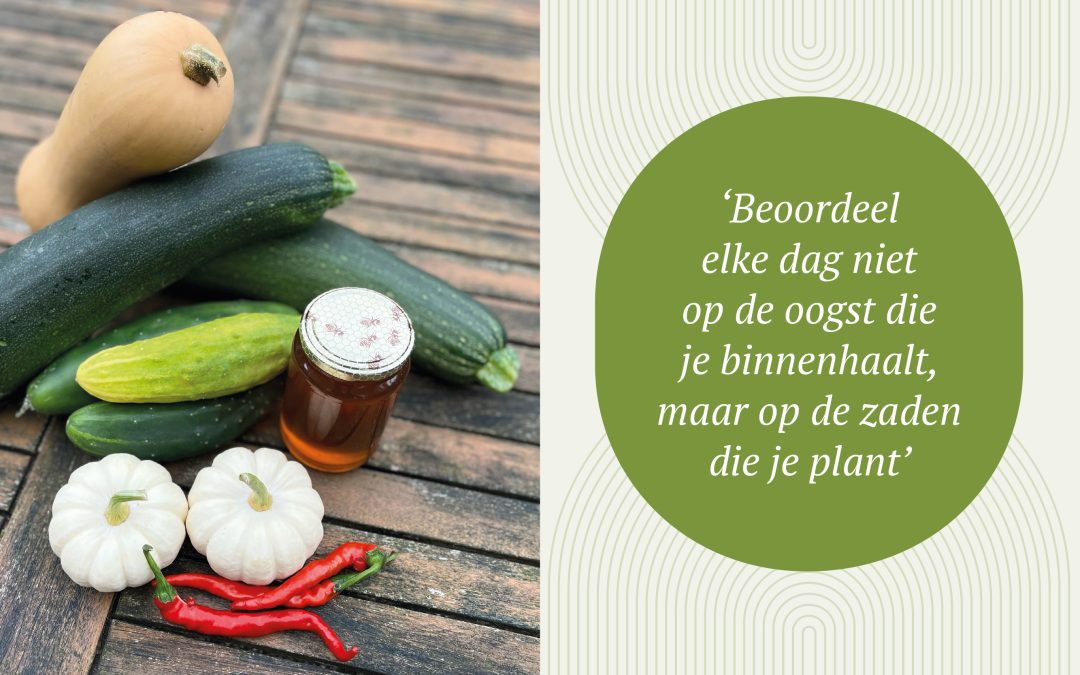 Blog Ahora mindfulness